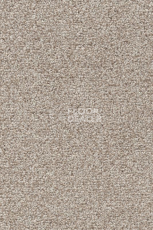 Ковролин AW Stainguard Harvest 04 фото 1 | FLOORDEALER